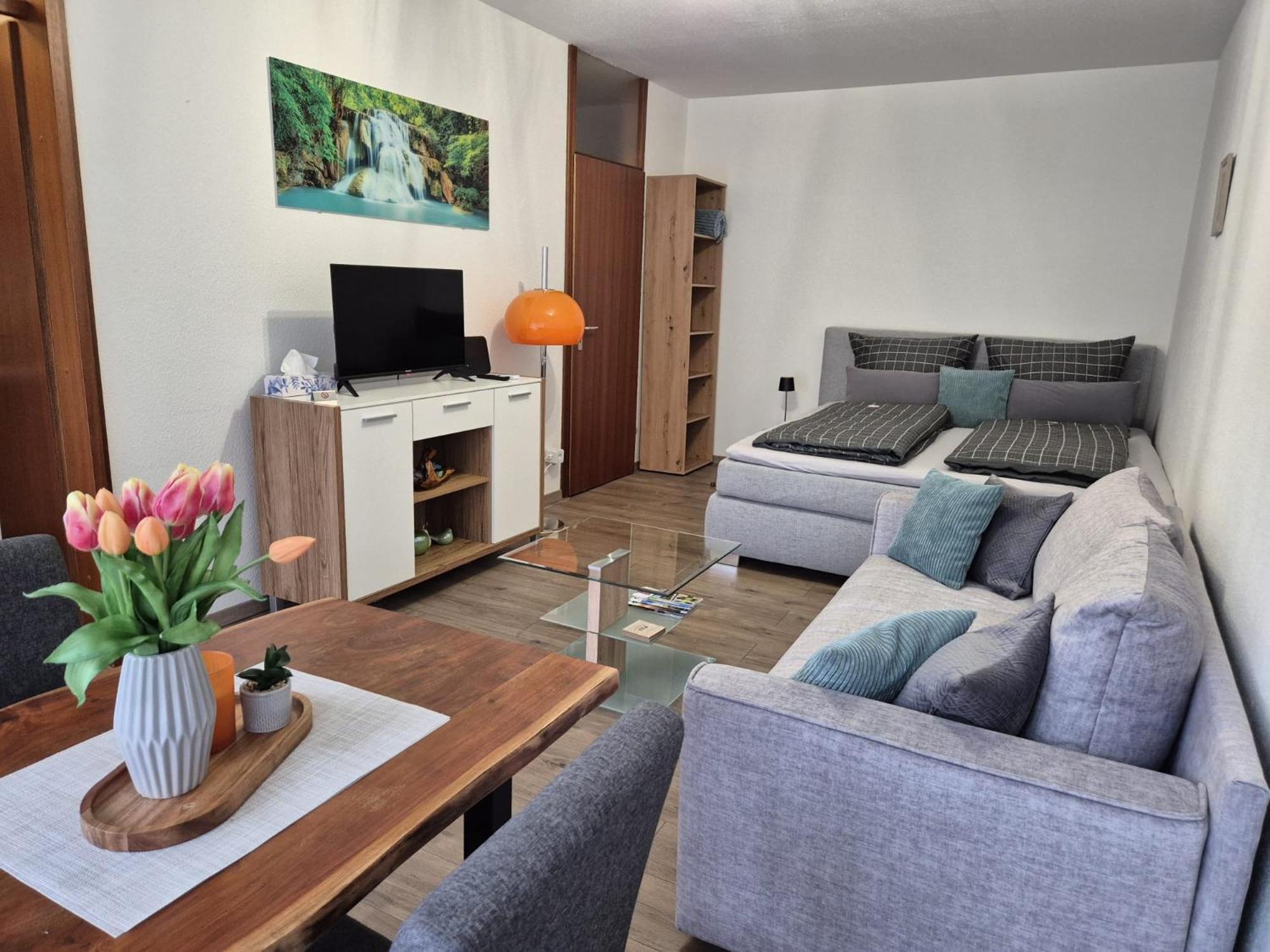 Wasserfaelle Apartments ザスバッハヴァルデン エクステリア 写真